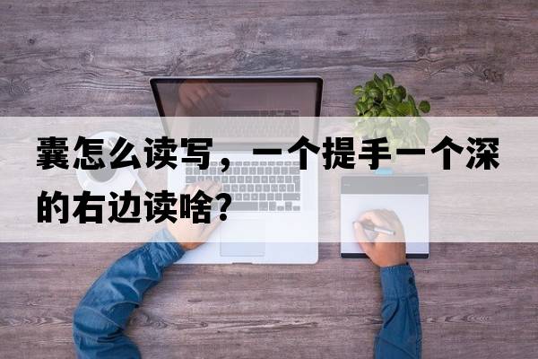 囊怎么讀寫(xiě)，一個(gè)提手一個(gè)深的右邊讀啥？