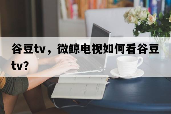 劉詩(shī)雯球拍配置，為什么每次比賽前上場(chǎng)伊藤美誠都要問(wèn)對手要球拍看來(lái)看去？球拍還需要她檢查嗎？