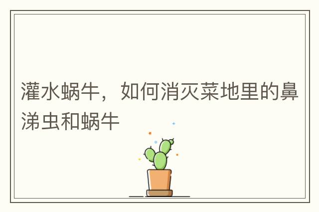 灌水蝸牛，如何消滅菜地里的鼻涕蟲(chóng)和蝸牛