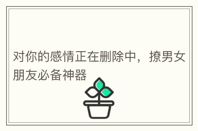 對你的感情正在刪除中，撩男女朋友必備神器