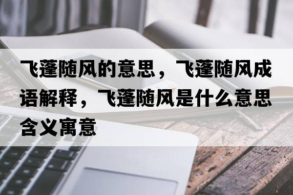 飛蓬隨風(fēng)的意思，飛蓬隨風(fēng)成語(yǔ)解釋?zhuān)w蓬隨風(fēng)是什么意思含義寓意