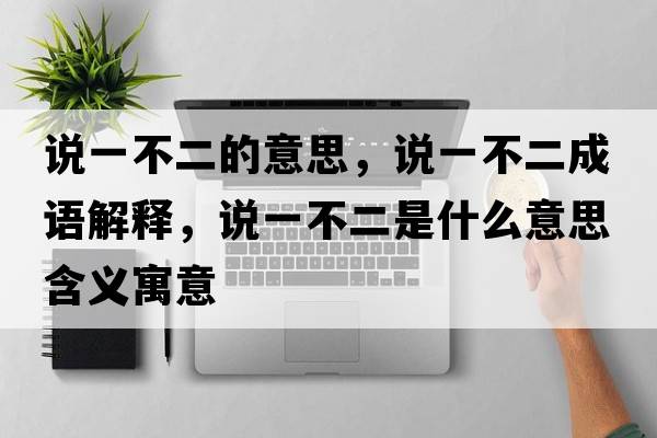 說(shuō)一不二的意思，說(shuō)一不二成語(yǔ)解釋?zhuān)f(shuō)一不二是什么意思含義寓意