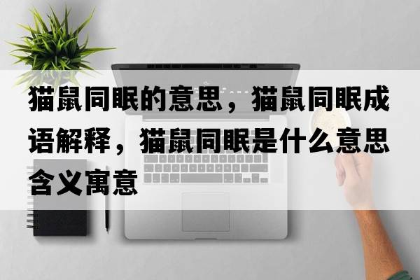 貓鼠同眠的意思，貓鼠同眠成語(yǔ)解釋?zhuān)埵笸呤鞘裁匆馑己x寓意