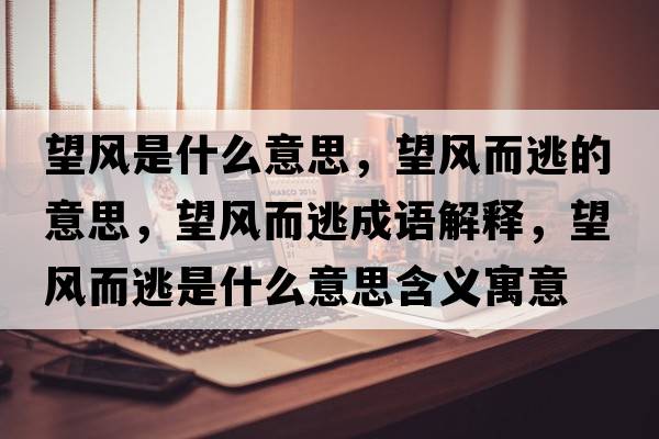 望風(fēng)是什么意思，望風(fēng)而逃的意思，望風(fēng)而逃成語(yǔ)解釋?zhuān)L(fēng)而逃是什么意思含義寓意