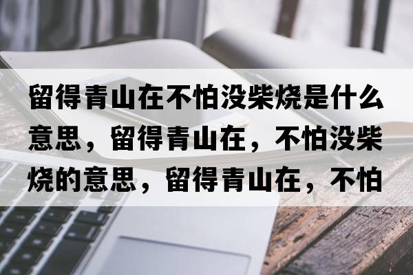 留得青山在不怕沒(méi)柴燒是什么意思，留得青山在，不怕沒(méi)柴燒的意思，留得青山在，不怕沒(méi)柴燒成語(yǔ)解釋?zhuān)舻们嗌皆?，不怕沒(méi)柴燒是什么意思含義寓意
