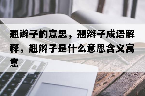 翹辮子的意思，翹辮子成語(yǔ)解釋?zhuān)N辮子是什么意思含義寓意