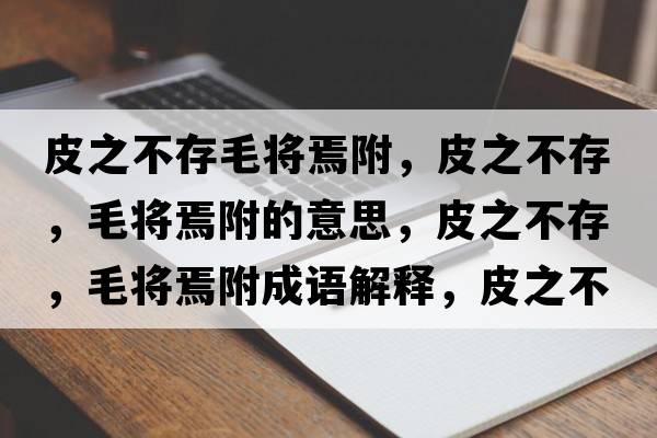 皮之不存毛將焉附，皮之不存，毛將焉附的意思，皮之不存，毛將焉附成語(yǔ)解釋?zhuān)ぶ淮?，毛將焉附是什么意思含義寓意