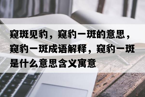 窺斑見(jiàn)豹，窺豹一斑的意思，窺豹一斑成語(yǔ)解釋?zhuān)Q豹一斑是什么意思含義寓意