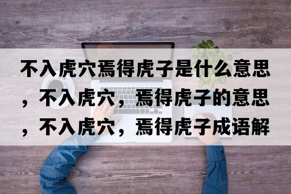 不入虎穴焉得虎子是什么意思，不入虎穴，焉得虎子的意思，不入虎穴，焉得虎子成語(yǔ)解釋?zhuān)蝗牖⒀?，焉得虎子是什么意思含義寓意