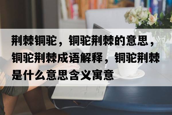 荊棘銅駝，銅駝荊棘的意思，銅駝荊棘成語(yǔ)解釋?zhuān)~駝荊棘是什么意思含義寓意