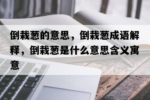 倒栽蔥的意思，倒栽蔥成語(yǔ)解釋?zhuān)乖允[是什么意思含義寓意