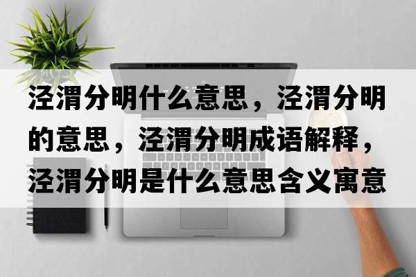 涇渭分明什么意思，涇渭分明的意思，涇渭分明成語(yǔ)解釋?zhuān)瑳芪挤置魇鞘裁匆馑己x寓意