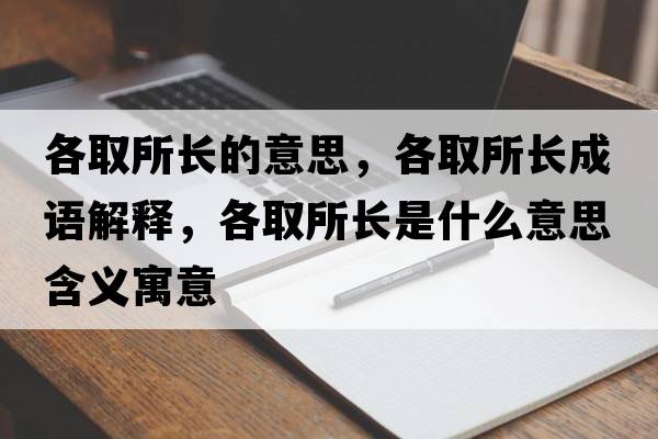 各取所長(cháng)的意思，各取所長(cháng)成語(yǔ)解釋?zhuān)魅∷L(cháng)是什么意思含義寓意