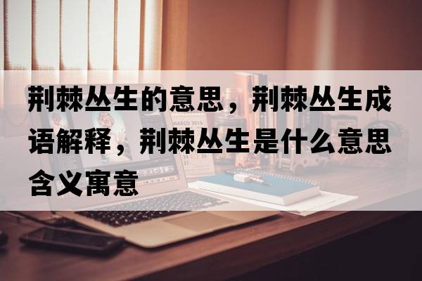 荊棘叢生的意思，荊棘叢生成語(yǔ)解釋?zhuān)G棘叢生是什么意思含義寓意