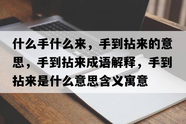 什么手什么來(lái)，手到拈來(lái)的意思，手到拈來(lái)成語(yǔ)解釋?zhuān)值侥閬?lái)是什么意思含義寓意