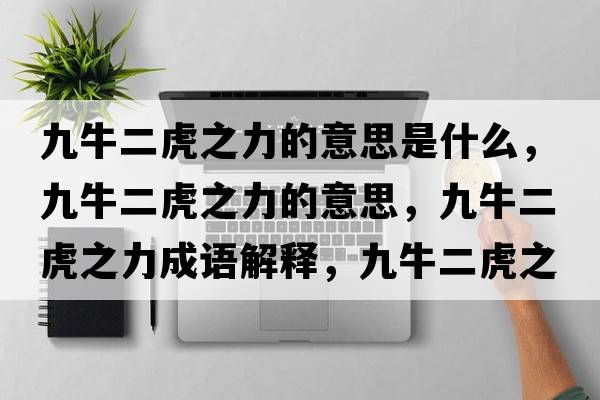 九牛二虎之力的意思是什么，九牛二虎之力的意思，九牛二虎之力成語(yǔ)解釋?zhuān)排６⒅κ鞘裁匆馑己x寓意