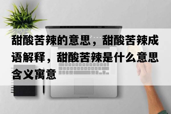 甜酸苦辣的意思，甜酸苦辣成語(yǔ)解釋?zhuān)鹚峥嗬笔鞘裁匆馑己x寓意