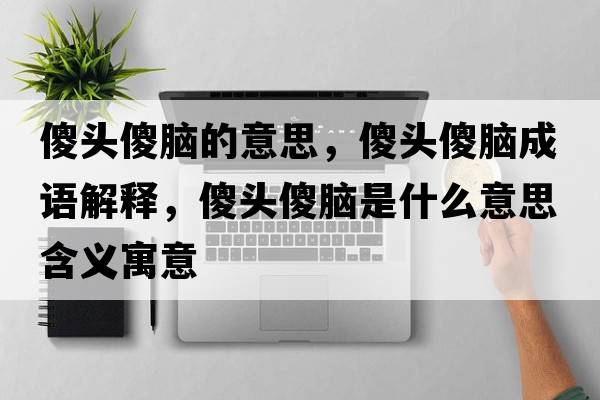 傻頭傻腦的意思，傻頭傻腦成語(yǔ)解釋?zhuān)殿^傻腦是什么意思含義寓意