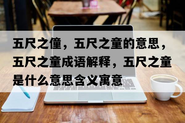 五尺之僮，五尺之童的意思，五尺之童成語(yǔ)解釋?zhuān)宄咧鞘裁匆馑己x寓意