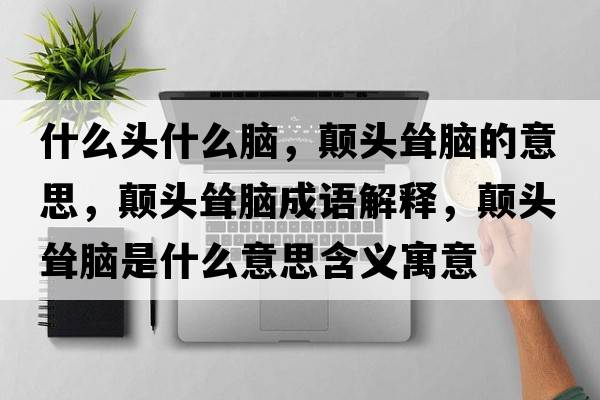 什么頭什么腦，顛頭聳腦的意思，顛頭聳腦成語(yǔ)解釋?zhuān)嶎^聳腦是什么意思含義寓意