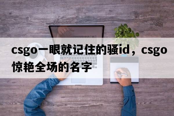 csgo一眼就記住的騷id，csgo驚艷全場(chǎng)的名字
