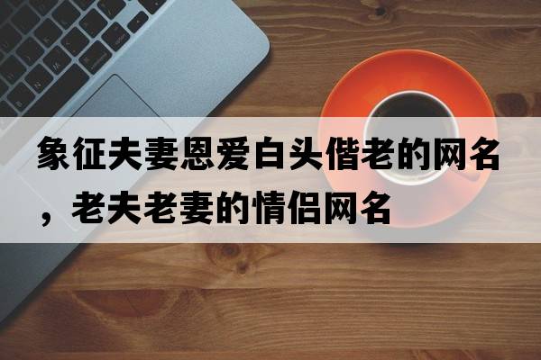象征夫妻恩愛(ài)白頭偕老的網(wǎng)名，老夫老妻的情侶網(wǎng)名
