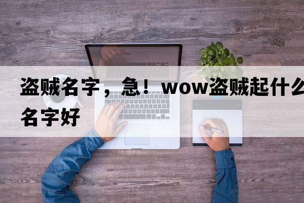 盜賊名字，急！WOW盜賊起什么名字好