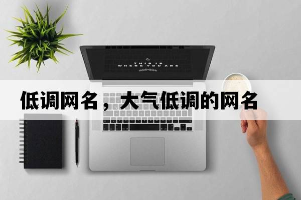 低調網(wǎng)名，大氣低調的網(wǎng)名