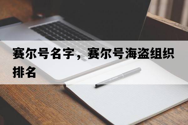 賽爾號名字，賽爾號海盜組織排名