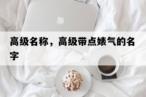 高級名稱(chēng)，高級帶點(diǎn)婊氣的名字