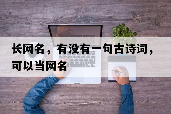 長(cháng)網(wǎng)名，有沒(méi)有一句古詩(shī)詞，可以當網(wǎng)名