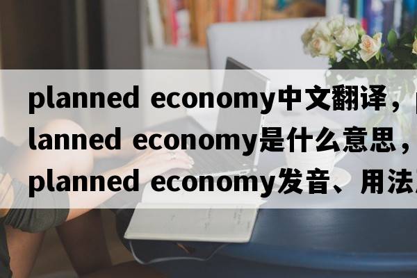 planned economy中文翻譯，planned economy是什么意思，planned economy發(fā)音、用法及例句
