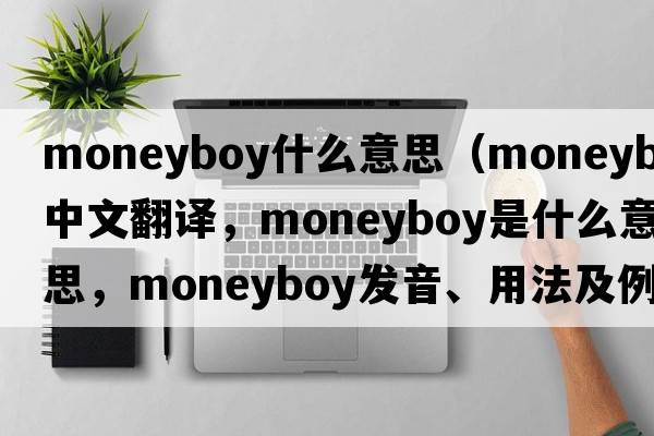 moneyboy什么意思（moneyboy中文翻譯，moneyboy是什么意思，moneyboy發(fā)音、用法及例句）