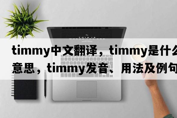 Timmy中文翻譯，Timmy是什么意思，Timmy發(fā)音、用法及例句
