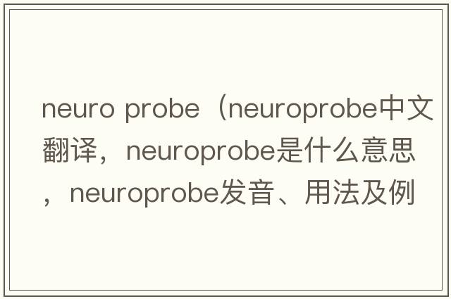 Neuro Probe（neuroprobe中文翻譯，neuroprobe是什么意思，neuroprobe發(fā)音、用法及例句）