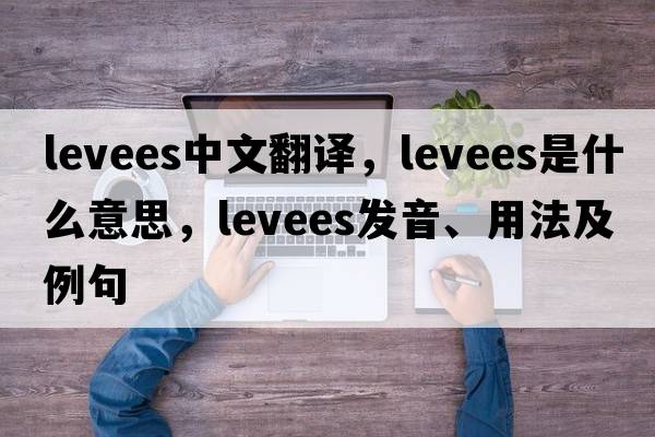 levees中文翻譯，levees是什么意思，levees發(fā)音、用法及例句