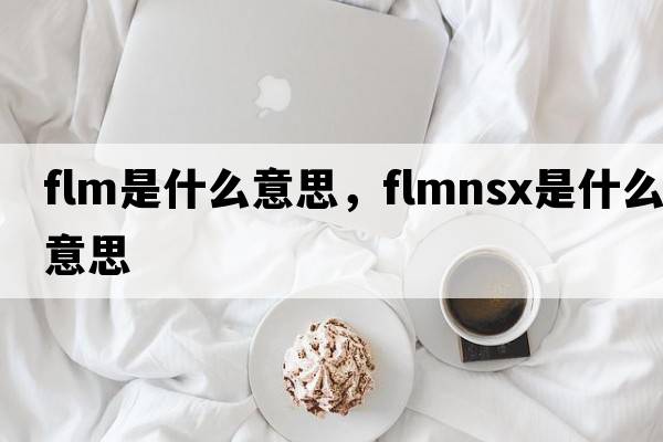 flm是什么意思，flmnsx是什么意思
