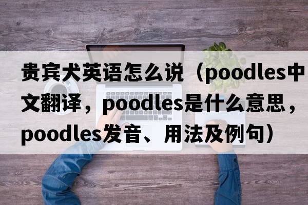 貴賓犬英語(yǔ)怎么說(shuō)（poodles中文翻譯，poodles是什么意思，poodles發(fā)音、用法及例句）