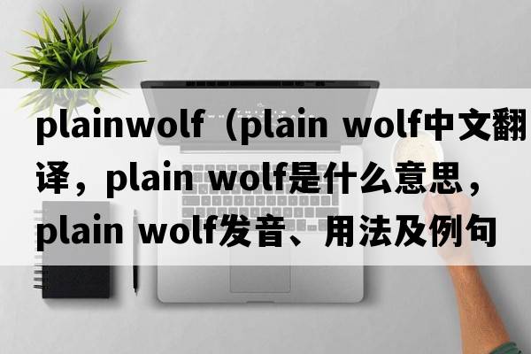 plainwolf（plain wolf中文翻譯，plain wolf是什么意思，plain wolf發(fā)音、用法及例句）