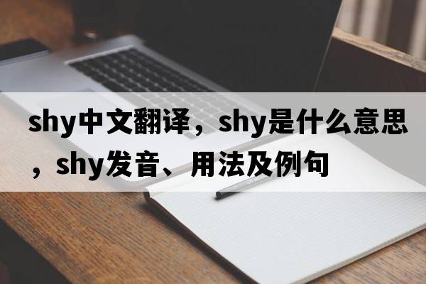 shy中文翻譯，shy是什么意思，shy發(fā)音、用法及例句