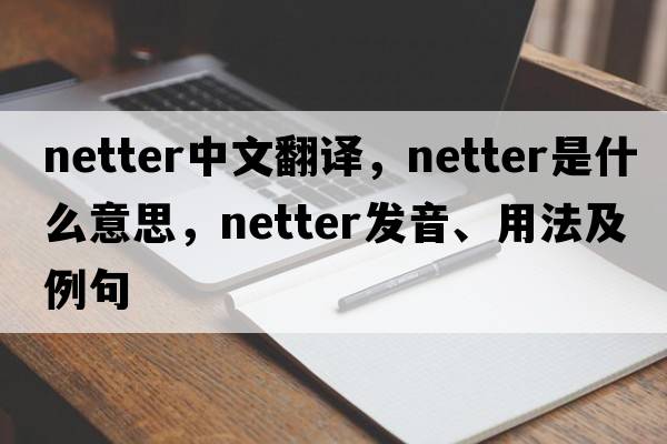 netter中文翻譯，netter是什么意思，netter發(fā)音、用法及例句