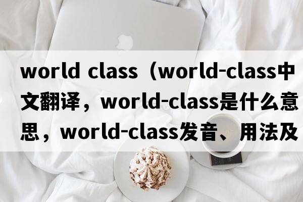 world class（world-class中文翻譯，world-class是什么意思，world-class發(fā)音、用法及例句）
