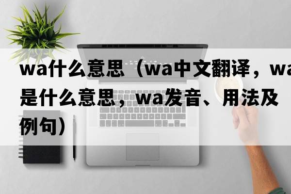 wa什么意思（wa中文翻譯，wa是什么意思，wa發(fā)音、用法及例句）