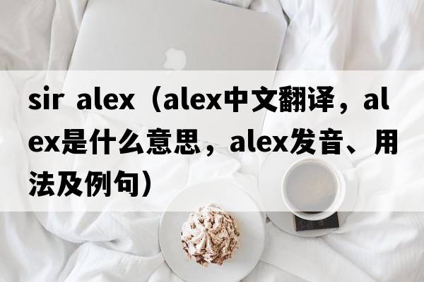sir alex（alex中文翻譯，alex是什么意思，alex發(fā)音、用法及例句）