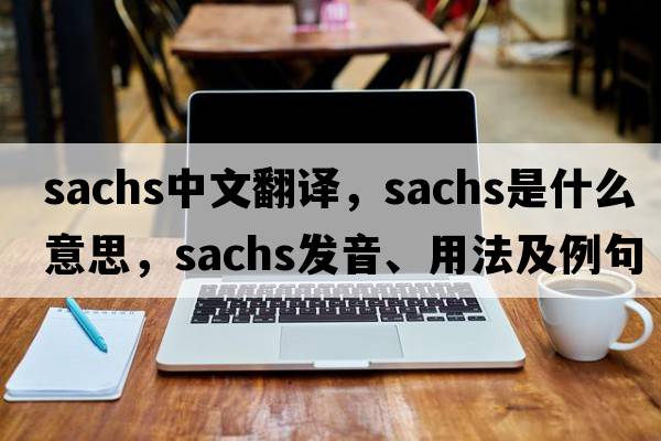 Sachs中文翻譯，Sachs是什么意思，Sachs發(fā)音、用法及例句