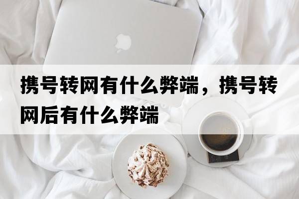 攜號轉網(wǎng)有什么弊端，攜號轉網(wǎng)后有什么弊端