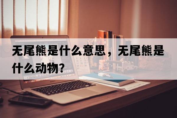 無(wú)尾熊是什么意思，無(wú)尾熊是什么動(dòng)物？
