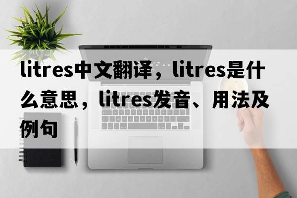 litres中文翻譯，litres是什么意思，litres發(fā)音、用法及例句