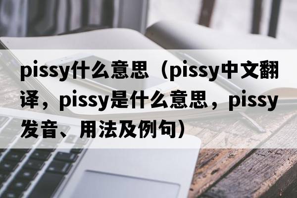 pissy什么意思（pissy中文翻譯，pissy是什么意思，pissy發(fā)音、用法及例句）