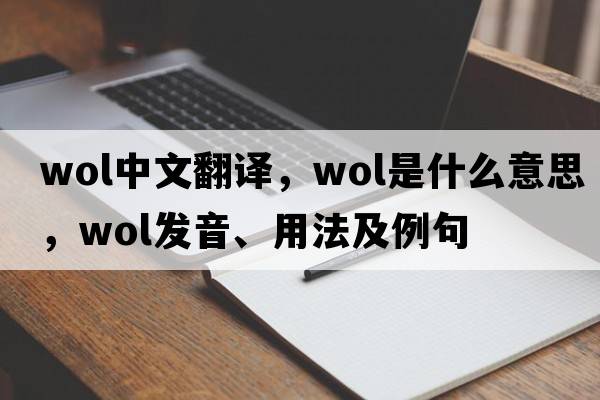 WOL中文翻譯，WOL是什么意思，WOL發(fā)音、用法及例句